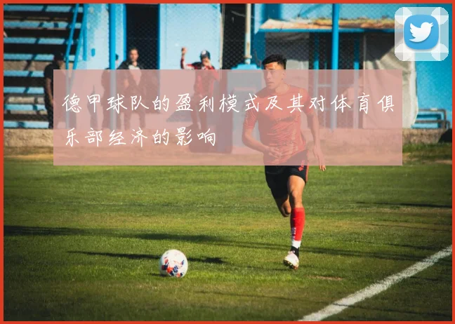 德甲球队的盈利模式及其对体育俱乐部经济的影响