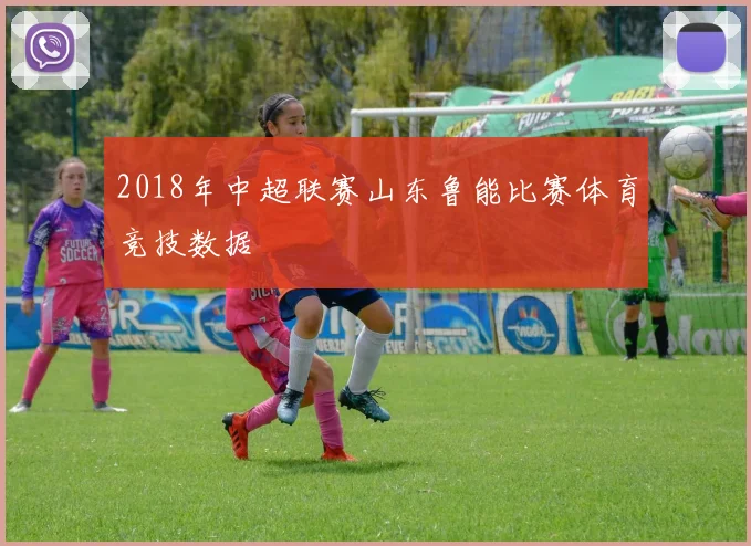 2018年中超联赛山东鲁能比赛体育竞技数据