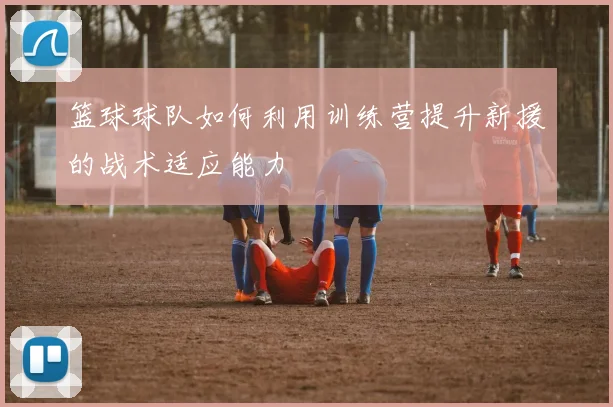篮球球队如何利用训练营提升新援的战术适应能力