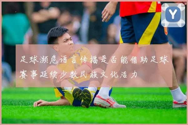 足球濒危语言传播是否能借助足球赛事延续少数民族文化活力