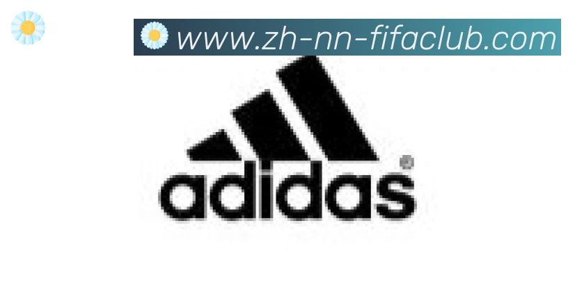 世界杯直播合作伙伴